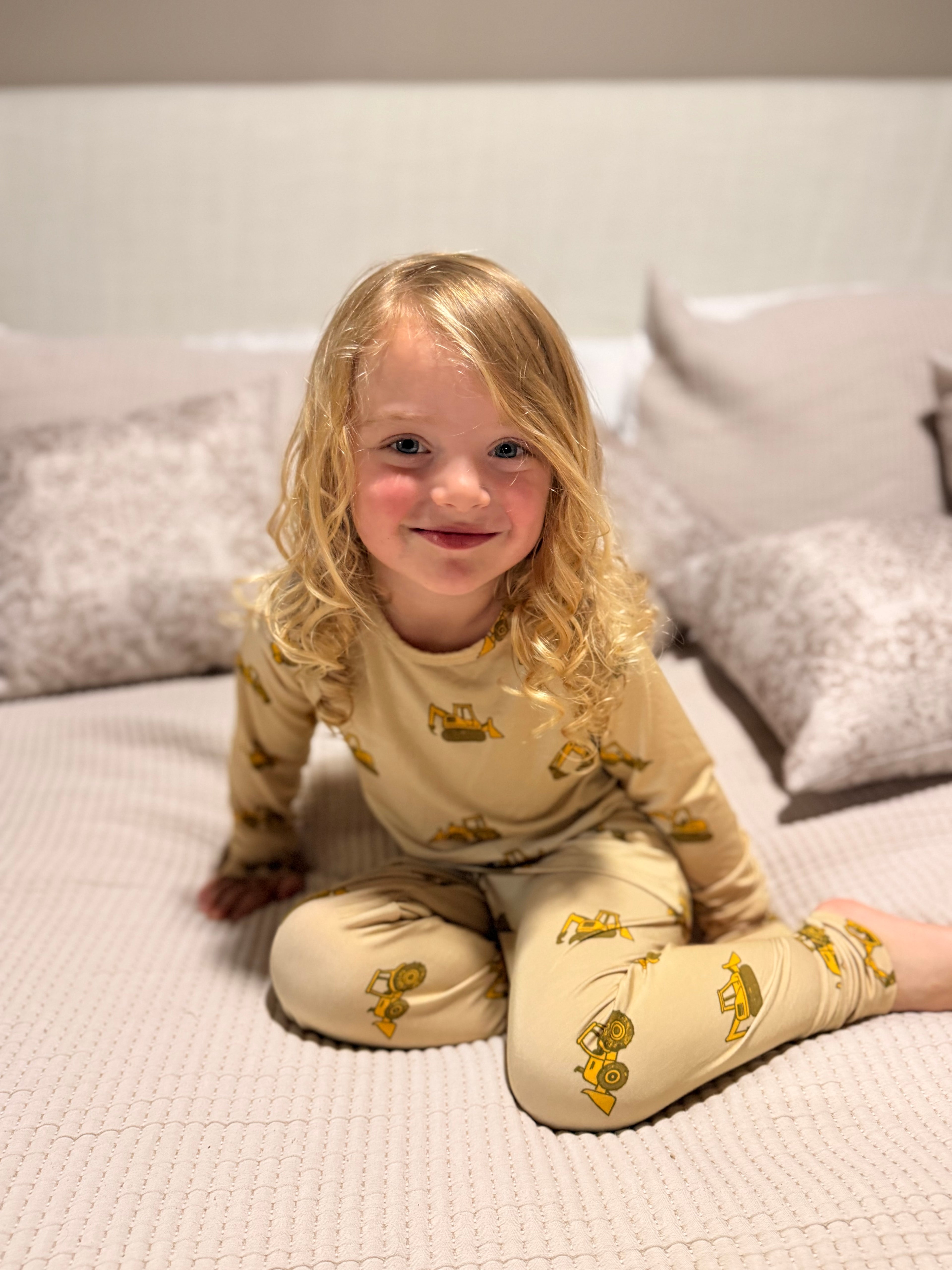Construction PJS