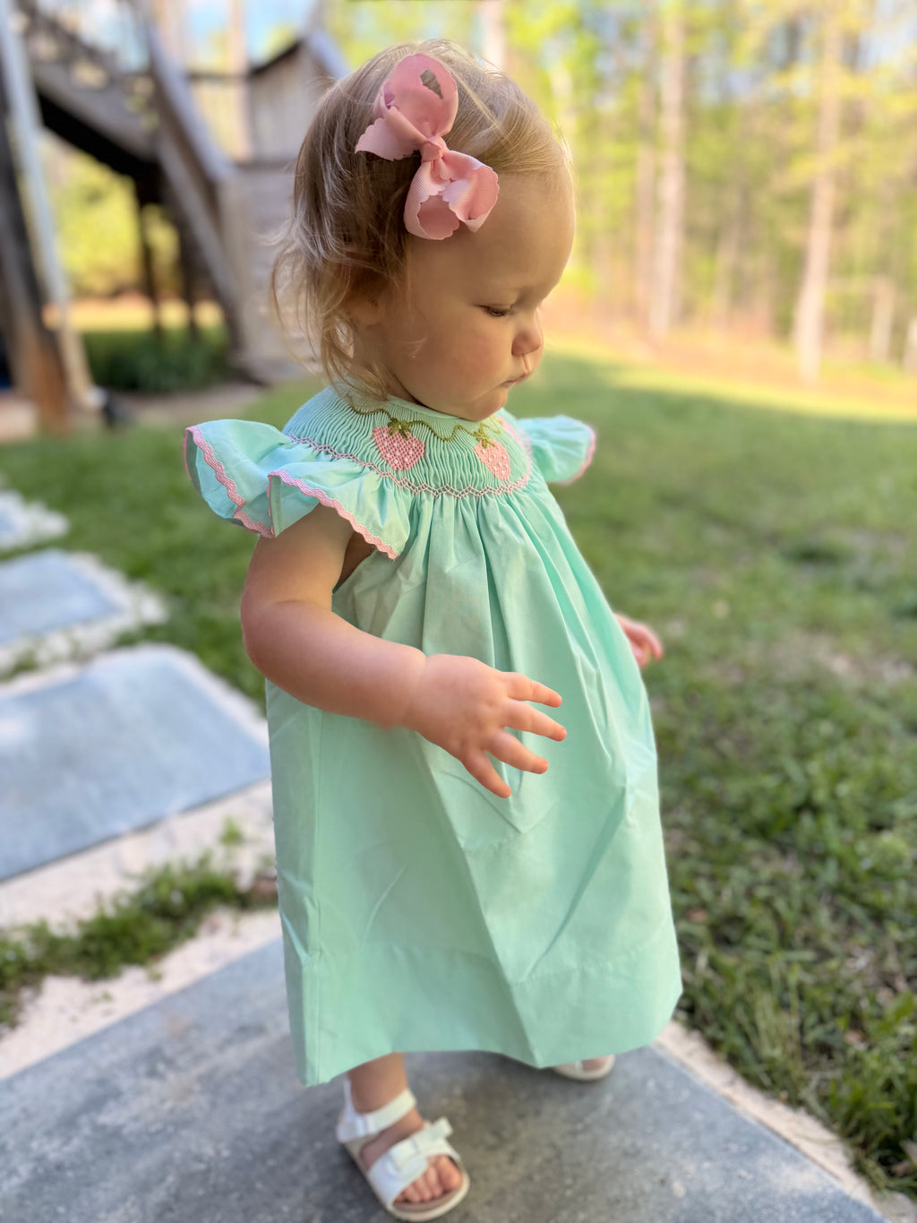 Strawberry Vine Smocked Dress
