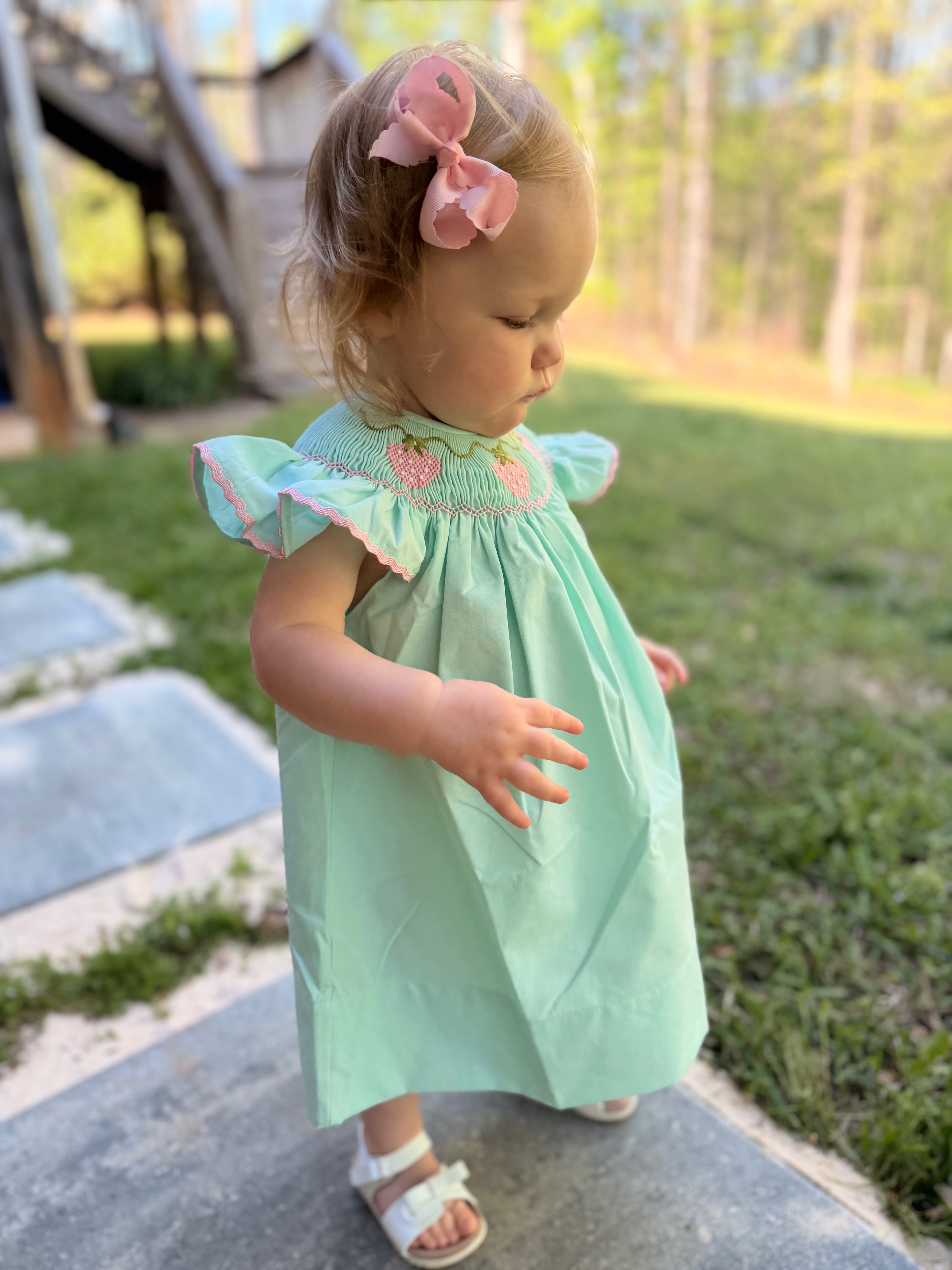 Strawberry Vine Smocked Dress
